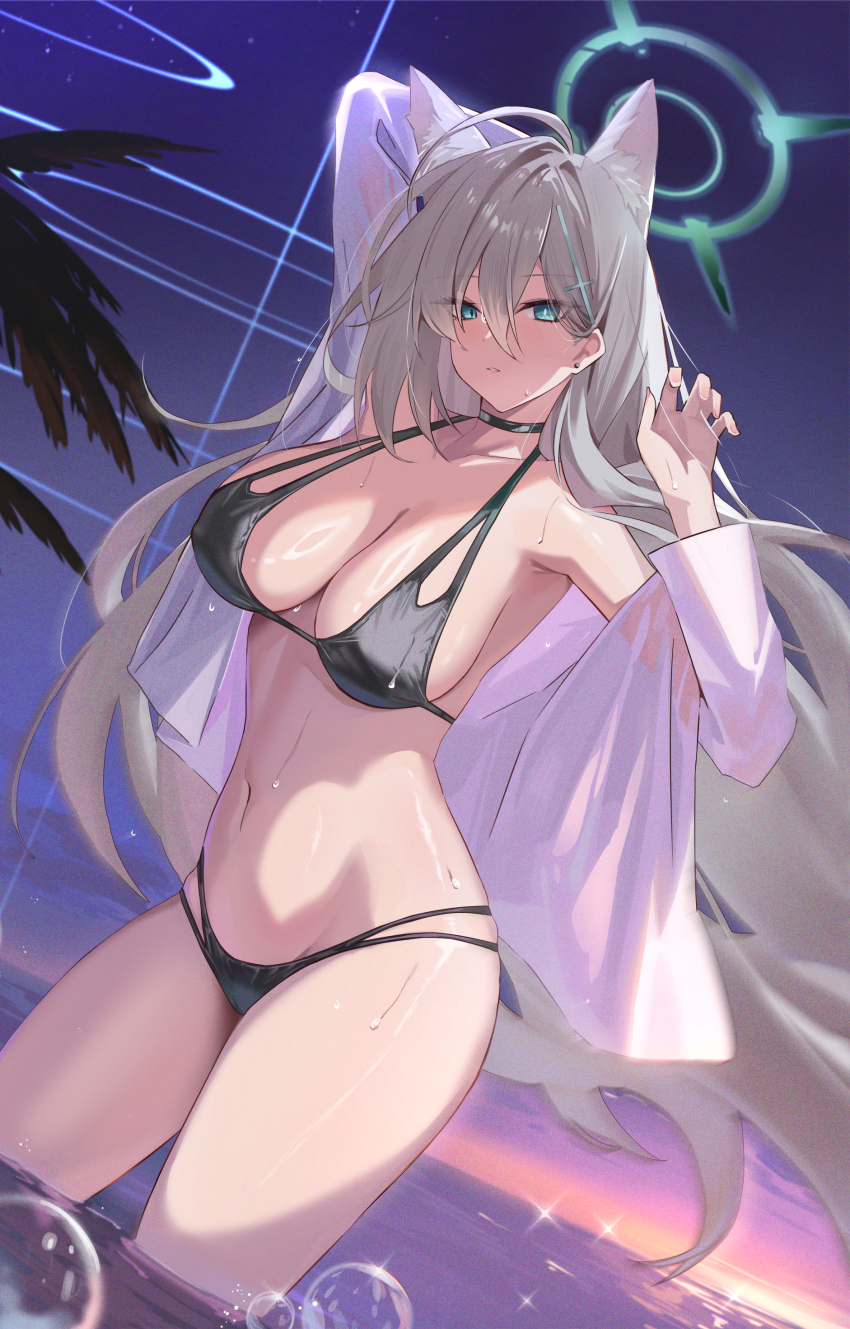 1girl absurdres animal_ear_fluff animal_ears bare_shoulders beach bikini black_bikini blue_archive blue_eyes blush breasts choker cleavage collarbone cross_hair_ornament extra_ears gradient_sky grey_hair hair_ornament halo highres kakumayu large_breasts long_hair long_sleeves looking_at_viewer navel night night_sky off_shoulder purple_sky shiroko_(blue_archive) shiroko_terror_(blue_archive) shirt sidelocks sky solo swimsuit thighs twilight wading white_shirt wolf_ears