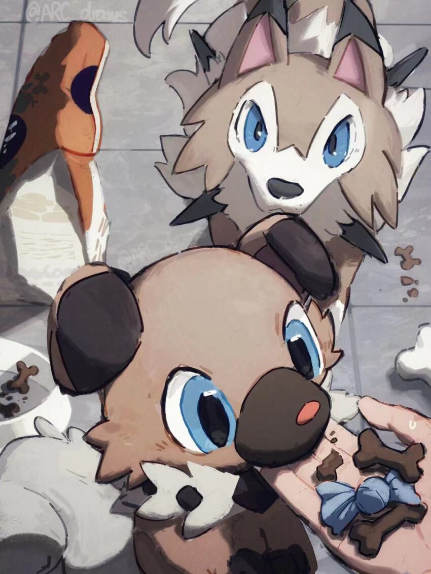 arc_draws bowl commentary creatures_(company) dog english_commentary evolutionary_line game_freak gen_7_pokemon highres looking_at_viewer lycanroc lycanroc_(midday) nintendo no_humans pet_bowl pet_food pokemon pokemon_(creature) pov pov_hands rare_candy rockruff tile_floor tiles twitter_username