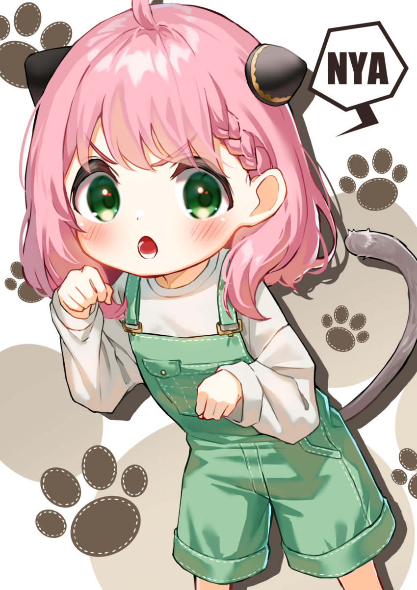 1girl :o ahoge anya_(spy_x_family) blush braid brown_background cat_tail child commentary_request cone_hair_bun double_bun green_eyes green_overalls green_shorts hair_behind_ear hair_between_eyes hair_bun hairpods hands_up highres leaning_forward long_sleeves looking_at_viewer medium_hair nyan open_mouth overall_shorts overalls paw_pose paw_print pink_hair same_jarashi shirt shorts sidelocks simple_background single_braid solo speech_bubble spy_x_family standing tail teeth tongue two-tone_background v-shaped_eyebrows white_background white_shirt