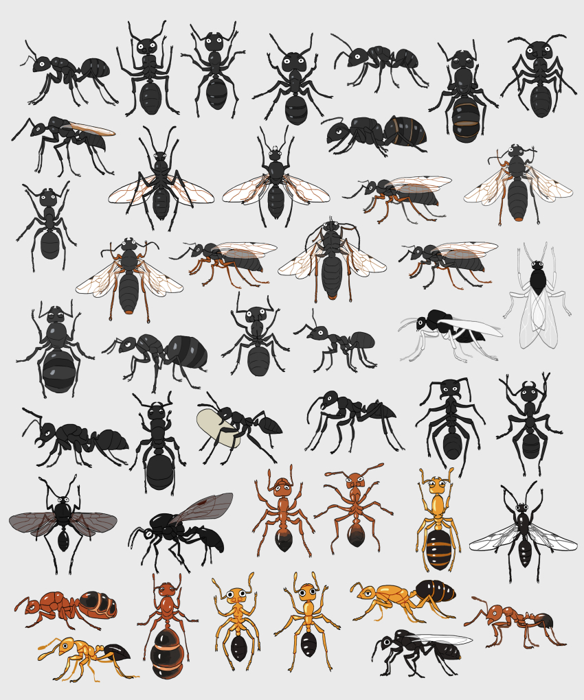 absurdres animal_focus ant bug commentary_request grey_background highres insect nicoq_(koikoihaihai) no_humans original simple_background