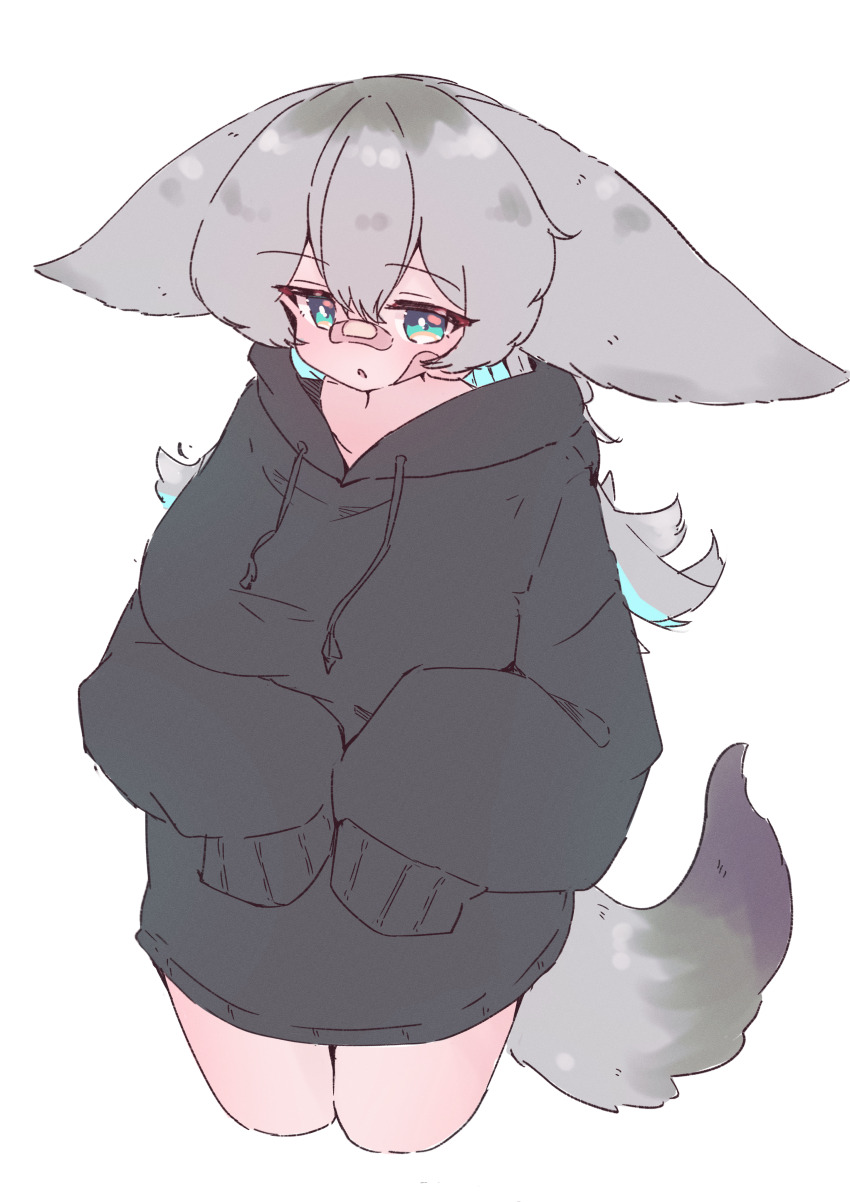 1girl absurdres animal_ears aqua_eyes bandaid bandaid_on_cheek bandaid_on_face bandaid_on_nose black_hoodie cowboy_shot cropped_legs double-parted_bangs drawstring droopy_ears grey_hair hair_between_eyes highres hood hoodie jackal_ears jackal_girl jackal_tail long_hair long_sleeves looking_at_viewer megateru no_pants open_mouth original simple_background sleeves_past_fingers sleeves_past_wrists solo white_background