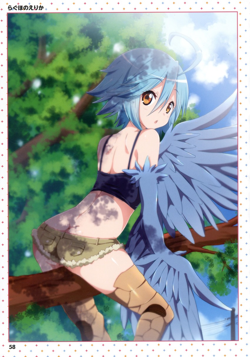 1girl :o absurdres ahoge artbook artist_name ass back bird_legs black_tank_top blue_hair blue_wings border branch brown_shorts butt_crack cropped_shirt feathered_wings feathers feet_out_of_frame from_behind fur-trimmed_shorts fur_trim hair_between_eyes harpy highres looking_at_viewer looking_back micro_shorts monster_girl monster_musume_no_iru_nichijou page_number papi_(monster_musume) ragho_no_erika scan short_hair shorts sitting solo tank_top white_border winged_arms wings