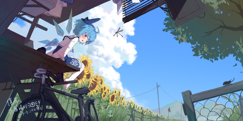 1girl absurdres bicycle blue_bow blue_hair blue_skirt blue_sky bow bug building cirno cloud commentary_request cumulonimbus_cloud dragonfly flower from_below hair_bow highres ice ice_wings insect long_sleeves looking_at_viewer looking_back no_shoes outdoors power_lines rangque_(user_vjjs4748) rhinoceros_beetle sailor_collar shirt skirt sky solo sunflower thighhighs touhou utility_pole white_sailor_collar white_shirt white_thighhighs wide_shot wings