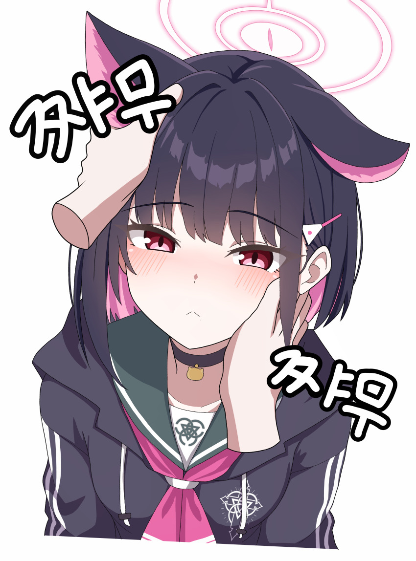 1girl :&lt; absurdres animal_ears black_choker black_hair black_hoodie black_jacket blue_archive blush breasts cat_choker cat_ears choker colored_inner_animal_ears colored_inner_hair commentary_request cropped_torso extra_ears green_sailor_collar hair_ornament hairclip halo highres hood hoodie jacket kazusa_(blue_archive) korean_commentary korean_text long_sleeves looking_at_viewer multicolored_hair neckerchief pink_hair pink_halo pink_neckerchief pov pov_hands red_eyes sailor_collar short_hair simple_background single_ear_down solo_focus trinity_general_school_logo two-tone_hair vector_(dmlddmld00) white_background