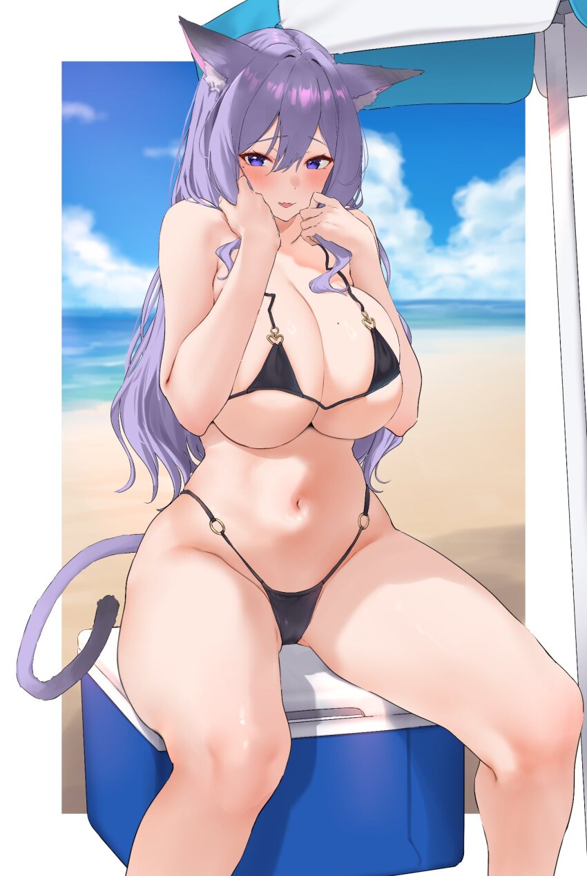 1girl animal_ears bikini black_bikini blue_sky cat_ears cat_tail cloud day hechi_(hechi322) highres long_hair looking_at_viewer original outdoors parasol purple_hair sitting sky solo swimsuit tail umbrella