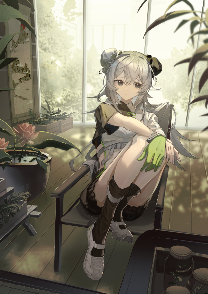 1girl absurdres arknights asymmetrical_sleeves black_bloomers black_eyes black_socks bloomers bun_cover chair chinese_clothes closed_mouth commentary_request crate dappled_sunlight double_bun feather_hair flower gloves green_gloves greenhouse grey_hair hair_bun hanging_scroll highres indoors jar legs_up long_hair lotus mulberry_(arknights) mulberry_(plant_crude_drug)_(arknights) natsuba002 official_alternate_costume on_chair plant potted_plant scroll shoes single_glove sitting socks solo sunlight white_footwear window wooden_floor