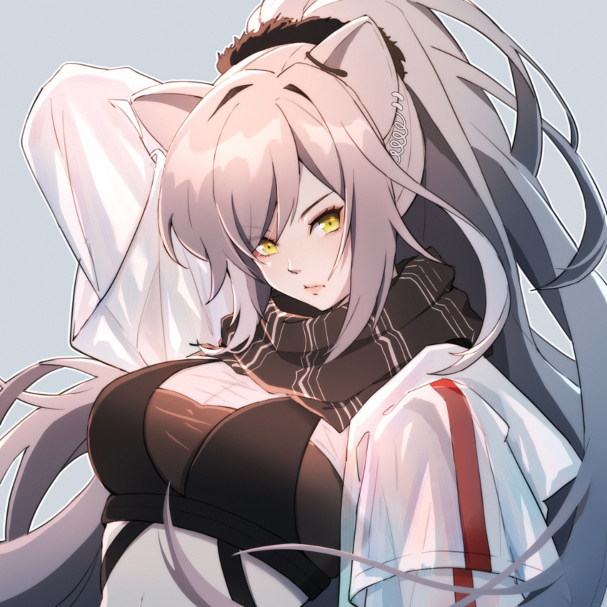 1girl animal_ears arknights bad_id bad_pixiv_id black_scarf breasts cat_ears cleavage crop_top highres jacket large_breasts long_hair looking_at_viewer lyra-kotto open_clothes open_jacket ponytail scarf schwarz_(arknights) silver_hair solo upper_body white_jacket yellow_eyes