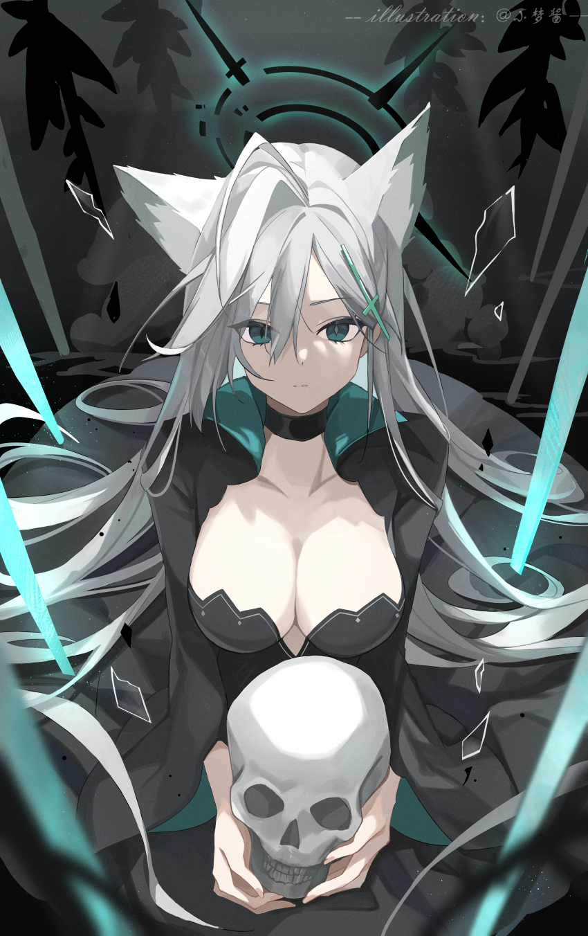 1girl absurdres ahoge animal_ear_fluff animal_ears black_choker black_dress blue_archive blue_eyes breasts choker cleavage closed_mouth collarbone commentary_request cross_hair_ornament dress grey_pupils hair_between_eyes hair_ornament highres holding holding_skull large_breasts long_hair looking_at_viewer mismatched_pupils shiroko_(blue_archive) shiroko_terror_(blue_archive) skull solo twitter_username yume-dream