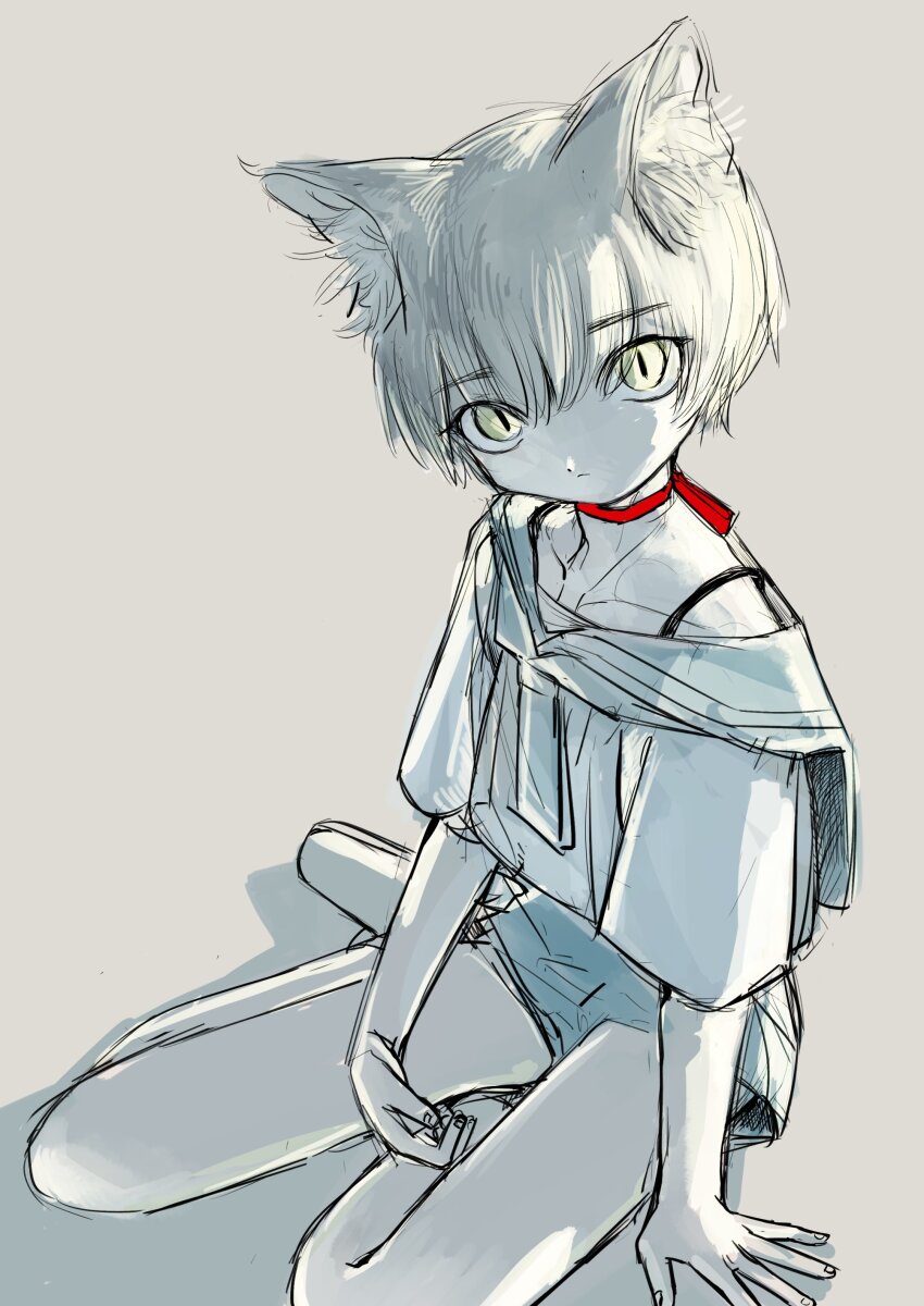 1boy absurdres androgynous animal_ear_fluff animal_ears cat_boy cat_ears closed_mouth commentary_request cropped_shirt full_body grey_background highres looking_at_viewer male_focus neck_ribbon original red_ribbon ribbon sailor sailor_collar shima_(wansyon144) shirt short_sleeves shorts simple_background sitting slit_pupils solo white_shirt yellow_eyes yokozuwari