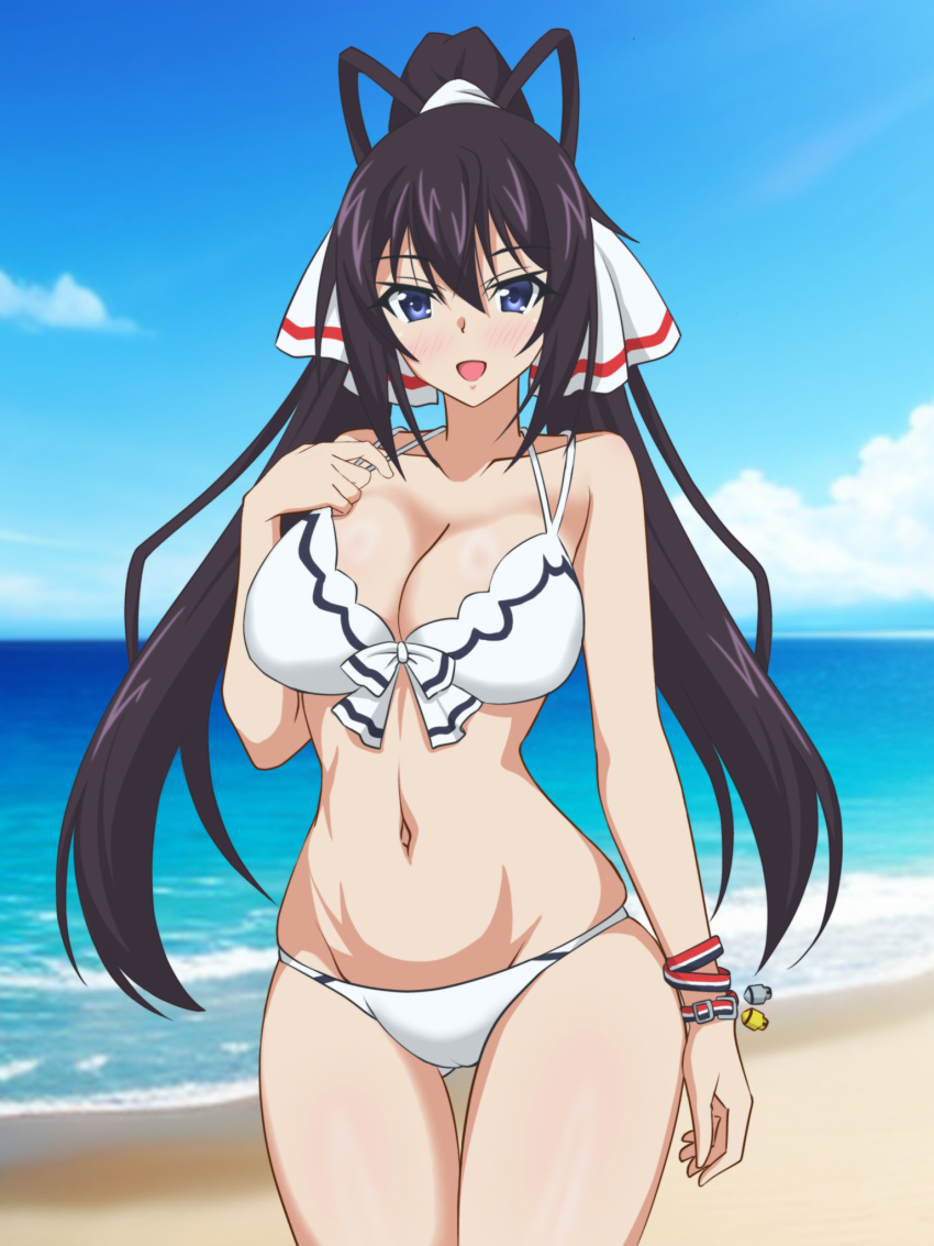 1girl beach bikini black_hair blue_eyes bracelet breasts cleavage front-tie_bikini_top front-tie_top hata_(pixiv10403940) highres horizon infinite_stratos jewelry large_breasts long_hair ocean official_alternate_costume outside_border parted_hair ponytail shinonono_houki solo swimsuit thigh_gap white_bikini