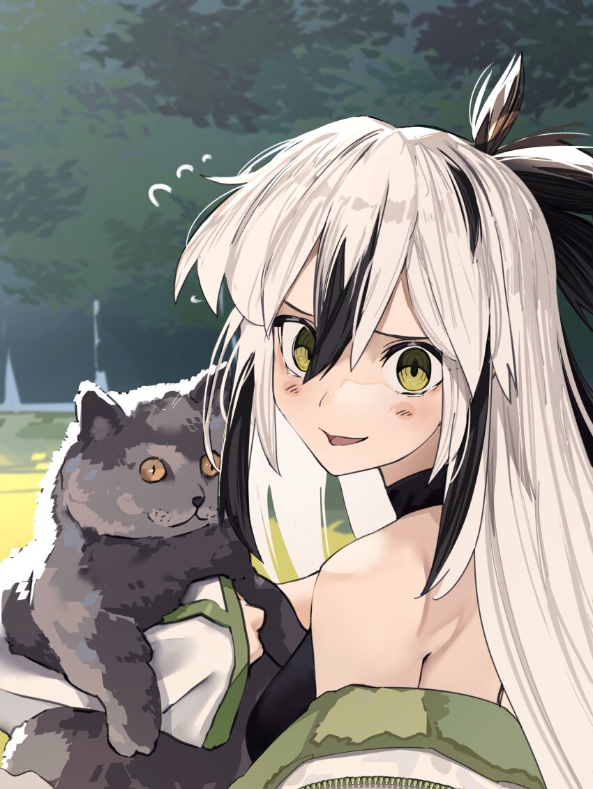 1girl absurdres animal bare_shoulders black_cat black_hair blush cat commentary english_commentary fate/grand_order fate_(series) flying_sweatdrops green_eyes hair_between_eyes highres holding holding_animal jacket long_hair looking_at_viewer multicolored_hair nagao_kagetora_(fate) obazzotto off_shoulder outdoors ponytail smile two-tone_hair uesugi_kenshin_(fate) uesugi_kenshin_(second_ascension)_(fate) very_long_hair white_hair yellow_eyes