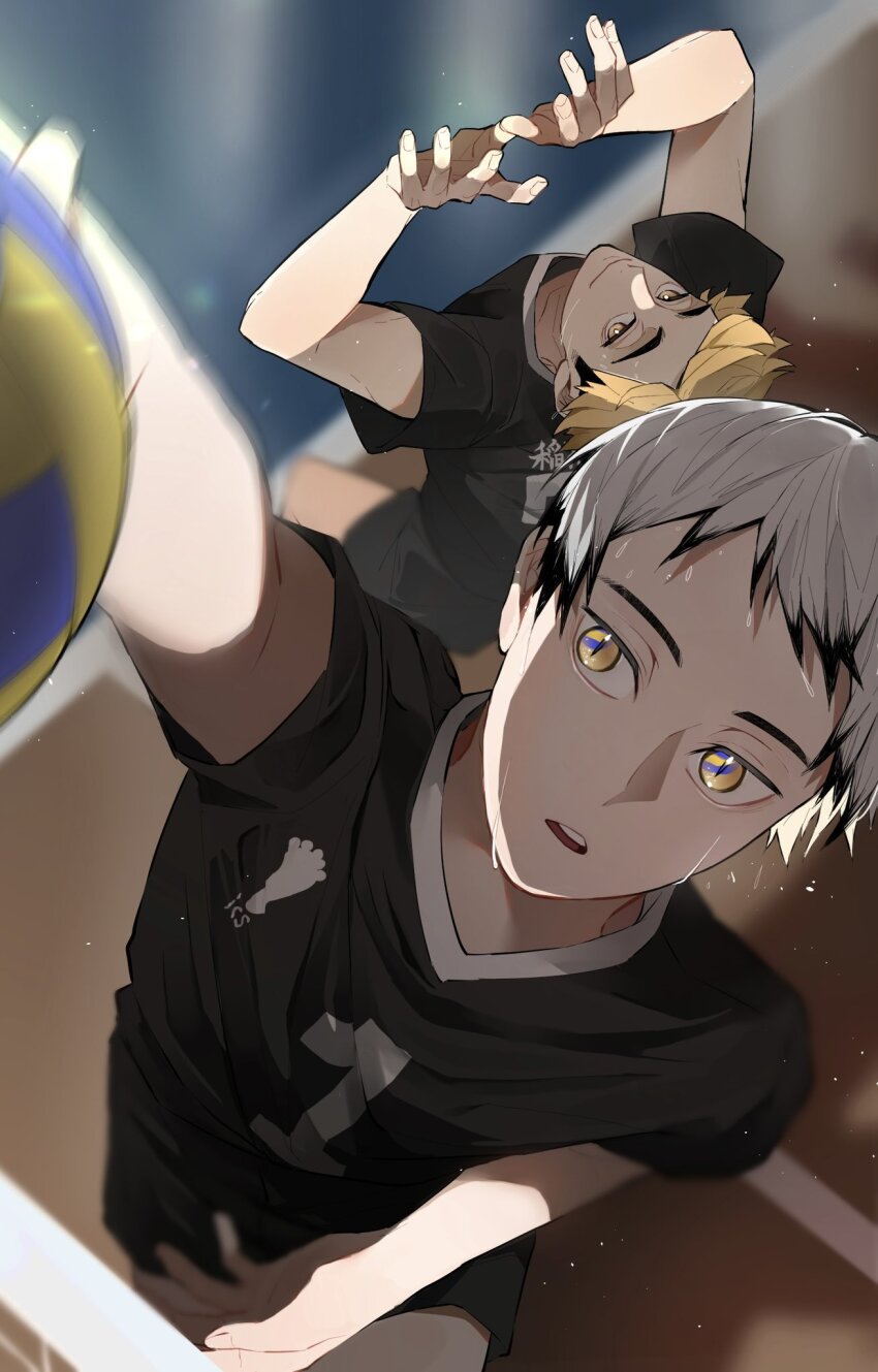 2boys arms_up ball black_hair black_shirt black_shorts blonde_hair colored_tips commentary_request eringi895 flying_sweatdrops haikyuu!! head_back highres jumping kita_shinsuke looking_at_object male_focus miya_atsumu multicolored_hair multiple_boys outstretched_arm parted_bangs playing_sports shirt short_hair shorts sportswear sweat thick_eyebrows volleyball volleyball_(object) volleyball_net volleyball_uniform white_hair yellow_eyes