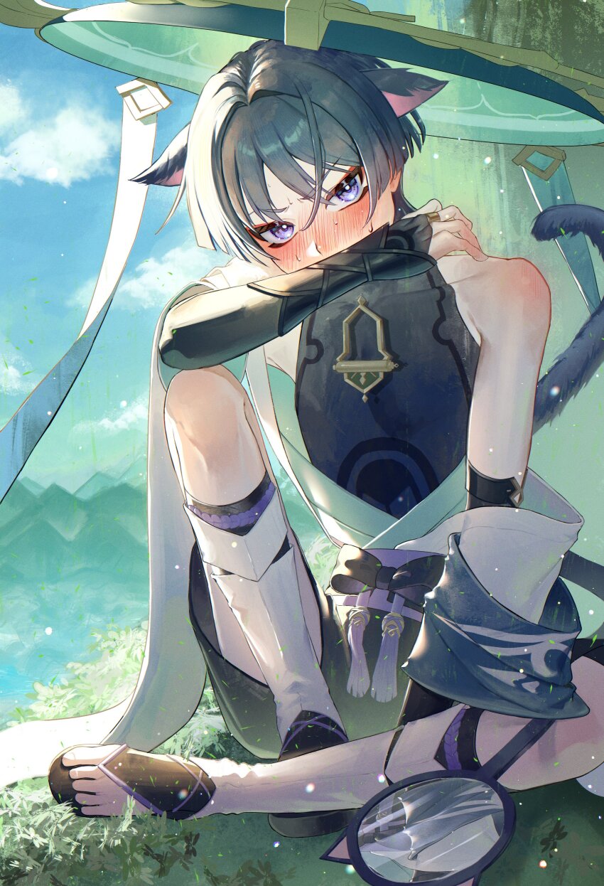 1boy absurdres animal_ears aqua_hat aqua_kimono aqua_sleeves armor armpit_crease between_legs black_bow black_hair black_shorts black_socks blue_cape blue_hat blue_sky blunt_ends blush bow bridal_gauntlets bright_pupils cape cat_boy cat_ears cat_tail clothes_down cloud cloudy_sky covered_collarbone covered_pectorals covering_own_mouth embarrassed eyeliner eyeshadow fuli_(narumiyafuri) furisode furrowed_brow genshin_impact gold gold_ring hair_intakes han&#039;eri hand_between_legs hand_mirror hat head_tilt highres japanese_armor japanese_clothes jingasa kimono knee_up kote kurokote layered_kimono layered_sleeves leg_warmers looking_at_viewer makeup male_focus middle_ring mirror mountainous_horizon on_grass purple_eyes purple_rope purple_sash red_eyeliner red_eyeshadow rope sanpaku sash scaramouche_(genshin_impact) short_sleeves shorts shoulder_blush single_bare_shoulder sitting sky socks solo sweat tail tassel tilted_headwear toeless_footwear toeless_legwear toes tree two-sided_fabric two-sided_headwear v-shaped_eyebrows wanderer_(genshin_impact) white_kimono white_leg_warmers white_pupils white_trim