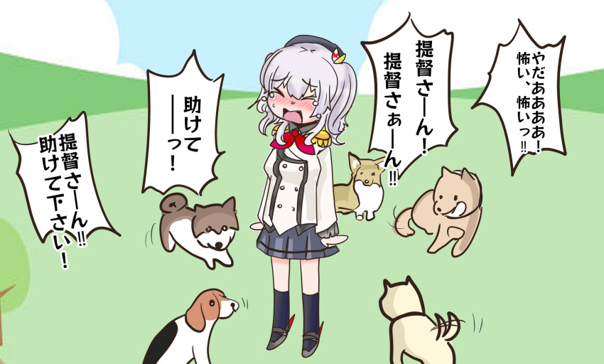 1girl beret black_hat buttons closed_eyes commentary_request crying dog epaulettes frilled_sleeves frills grey_hair grey_skirt hat highres jacket kantai_collection kashima_(kancolle) long_sleeves military military_jacket military_uniform multiple_dogs neckerchief pleated_skirt red_neckerchief shouhou-san_daisuki_teitoku sidelocks skirt solo standing tears too_many too_many_dogs translation_request twintails wavy_hair white_jacket