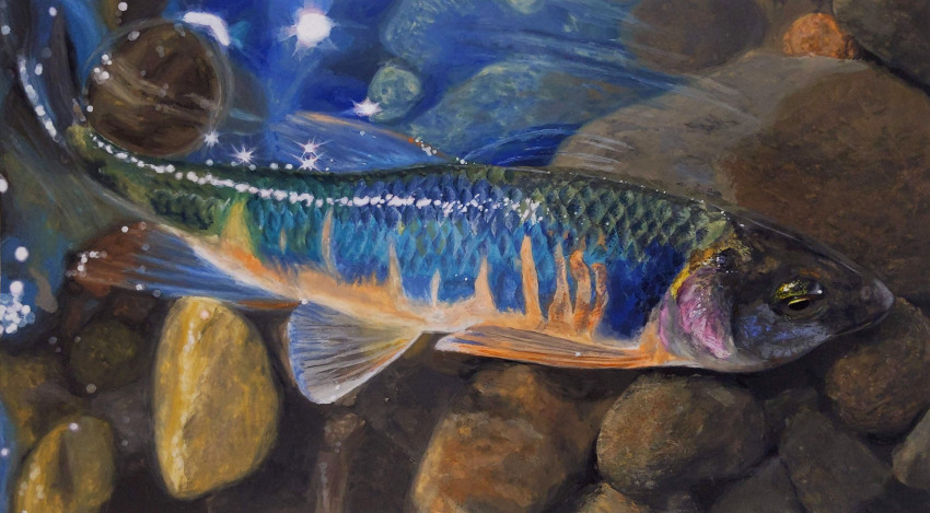 absurdres animal animal_focus fish highres in_water naoya_ohtani no_humans oil_painting_(medium) original painting_(medium) pebble photorealistic realistic shallow_water swimming traditional_media transparent water