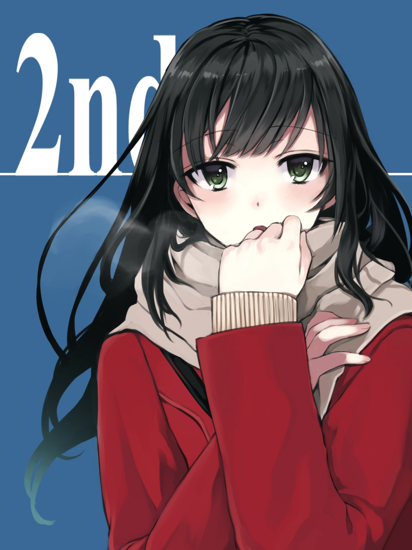 1girl black_hair breath coat female_focus green_eyes highres long_hair scarf solo takeuchi_aya