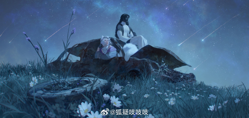 2boys animal_ears bare_shoulders beard black_hair chinese_commentary commentary_request dark-skinned_male dark_skin detached_sleeves dragon facial_hair field flower flower_field fox_boy fox_ears fox_tail full_body grey_jacket highres jacket long_hair lying male_focus meteor_shower multiple_boys night night_sky on_grass on_stomach open_clothes open_jacket original pants shirt short_hair sitting sky sleeveless sleeveless_shirt star_(sky) starry_sky tail toned toned_male turtleneck turtleneck_shirt watermark weibo_watermark white_flower white_hair white_pants white_shirt zzzi_gn