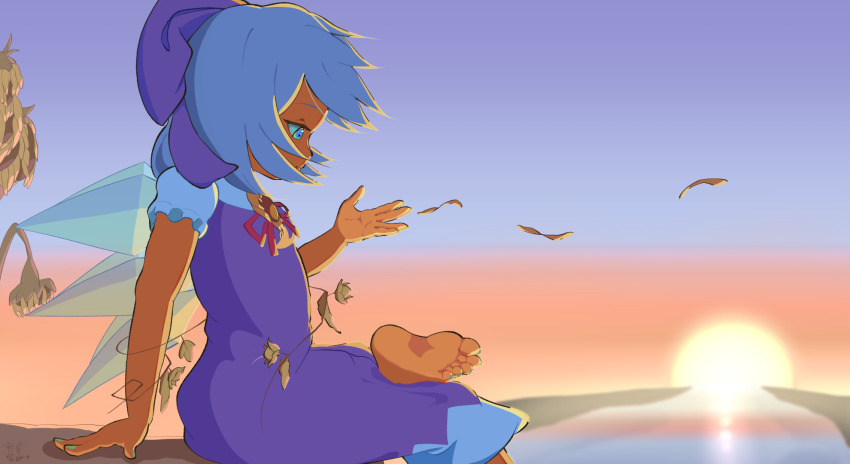 1girl backlighting barefoot blue_dress blue_eyes blue_hair cirno crossed_legs dress feet flower gradient_sky half-closed_eyes highres himeko_nodanuki horizon ice ice_wings leaf medium_hair plant puffy_short_sleeves puffy_sleeves short_sleeves sitting sky soles solo sun sunflower sunset tan tanned_cirno toes touhou vines wilted_flower wind wings