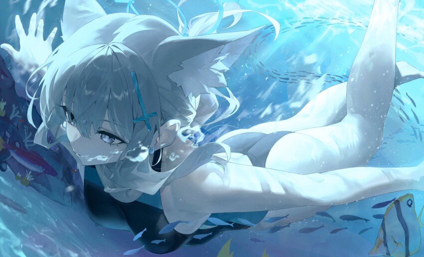 1girl absurdres air_bubble animal_ear_fluff animal_ears ass barefoot black_one-piece_swimsuit blowing_bubbles blue_archive blue_eyes blue_halo breasts bubble commentary extra_ears fish grey_hair hair_between_eyes halo hashtag-only_commentary highres lemoneko looking_at_viewer medium_breasts mismatched_pupils ocean official_alternate_costume official_alternate_hairstyle one-piece_swimsuit shiroko_(blue_archive) shiroko_(swimsuit)_(blue_archive) short_hair solo submerged swimming swimsuit underwater water wolf_ears wolf_girl