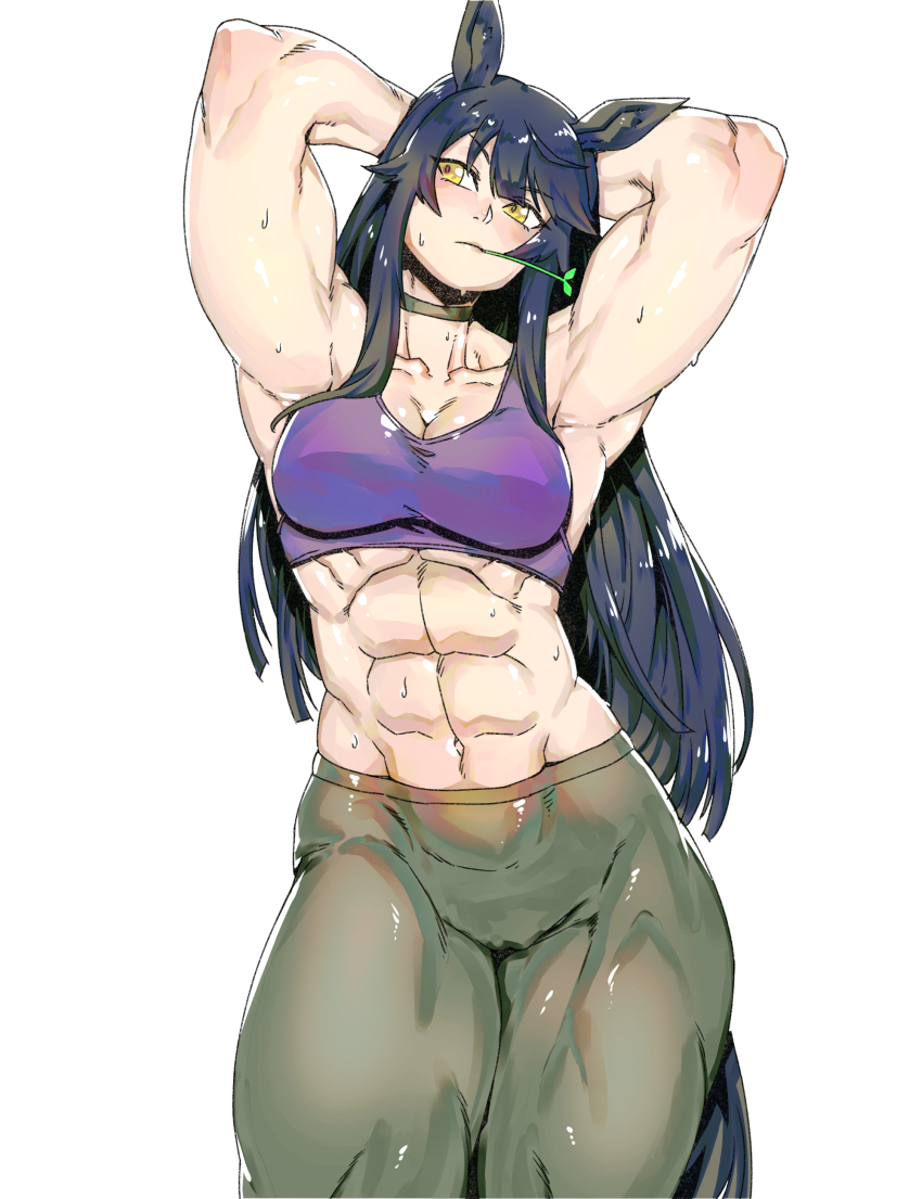 1girl abs absurdres alternate_costume alternate_hairstyle animal_ears armpits arms_behind_head arms_up black_choker black_leggings blush breasts choker closed_mouth commentary cowboy_shot hair_between_eyes hair_down highres horse_ears horse_girl horse_tail large_breasts leggings long_hair minew mouth_hold muscular muscular_female narita_brian_(umamusume) navel purple_sports_bra simple_background solo sports_bra stalk_in_mouth stomach tail umamusume very_long_hair white_background yellow_eyes