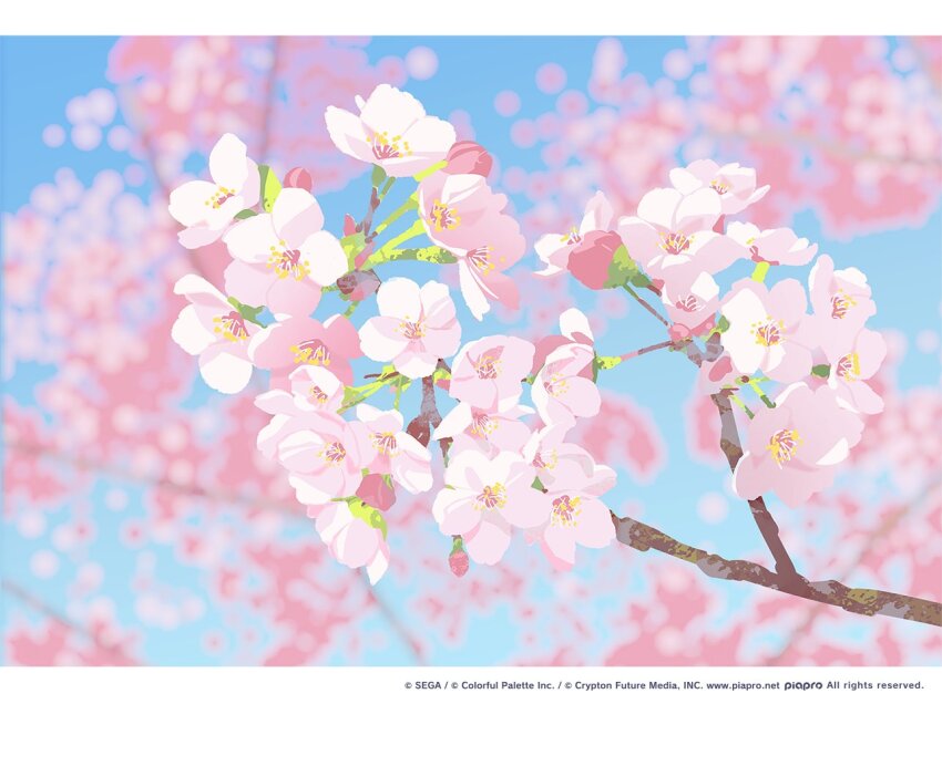 agas_(vpwt7475) blue_sky blurry blurry_background branch bud cherry_blossoms commentary company_name copyright_notice copyright_request day flower flower_focus letterboxed no_humans official_art outdoors pink_flower sky spring_(season)