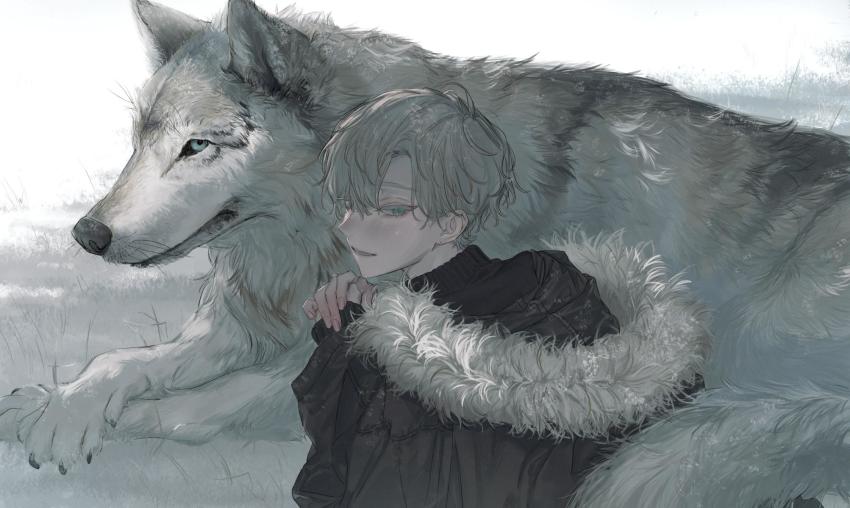 1boy animal black_coat coat from_behind fur_trim grass grey_hair hand_up highres hood hood_down long_sleeves orexxxo original short_hair solo wolf