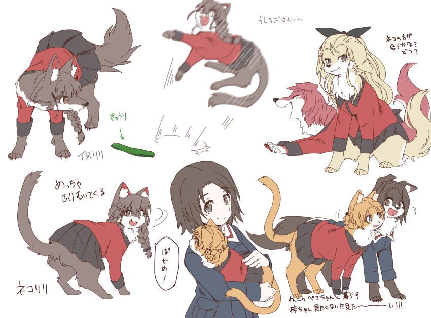 1girl animal black_ribbon blue_eyes blue_jacket braid braided_ponytail brown_eyes brown_hair cat commentary dog fang girls_und_panzer hair_ornament hair_ribbon hairclip hasekura_(hachinochun) highres holding holding_animal hood hoodie jacket jumping long_sleeves looking_at_another looking_at_viewer looking_back motion_blur motion_lines ooarai_military_uniform open_clothes open_hoodie orange_fur orange_pekoe_(girls_und_panzer) parted_bangs red_fur red_jacket ribbon rukuriri_(girls_und_panzer) sawa_azusa short_hair simple_background single_braid smile st._gloriana&#039;s_military_uniform translated white_background yellow_fur