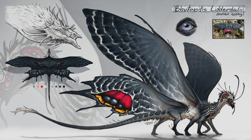 absurdres animal_focus antennae artist_name dragon from_side highres insect_wings monster moth_wings multiple_legs multiple_views multiple_wings no_humans original photo_inset reference_inset signature tail unravy wings