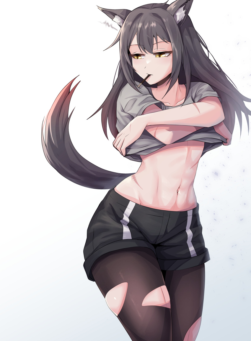 1girl absurdres animal_ear_fluff animal_ears arknights black_hair black_pantyhose black_shorts brown_eyes clothes_lift collarbone food food_in_mouth highres lifting_own_clothes long_hair mouth_hold navel pantyhose pocky shirt_lift short_shorts short_sleeves shorts simple_background singwee solo stomach tail texas_(arknights) torn_clothes torn_pantyhose white_background wolf_ears wolf_girl wolf_tail