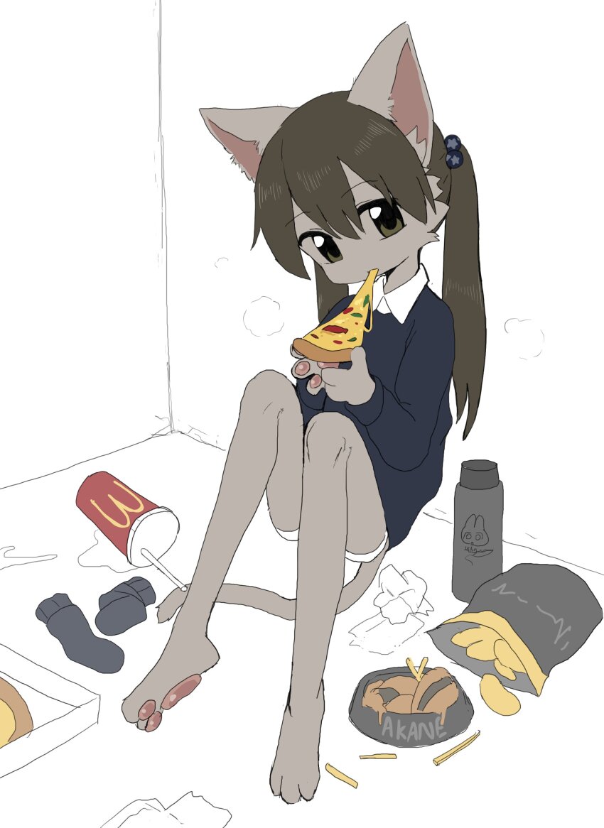 1girl absurdres against_wall akane_(3yo4yo5yo) animal_ears barefoot blue_sweater borrowed_character bowl brown_eyes brown_hair cat_ears cat_girl cat_tail chips_(food) collared_shirt cup disposable_cup eating food furry furry_female hair_between_eyes hair_bobbles hair_ornament highres holding knees_up long_hair long_sleeves looking_at_viewer original pet_bowl pizza pizza_slice shirt shorts sitting solo sweater tail twintails unworn_socks vreparty white_shirt