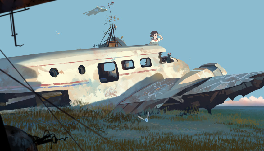 1girl abandoned aircraft airplane bangqiao_yan black_cat black_eyes black_hair black_sailor_collar blue_sky blurry blurry_foreground bug cat chalk_drawing cloud field floating_hair grass highres horizon landscape looking_ahead neckerchief original radio_antenna red_neckerchief sailor_collar satellite_dish scenery school_uniform shading_eyes shirt short_hair short_sleeves simple_bird sky solo weather_vane white_shirt wreckage