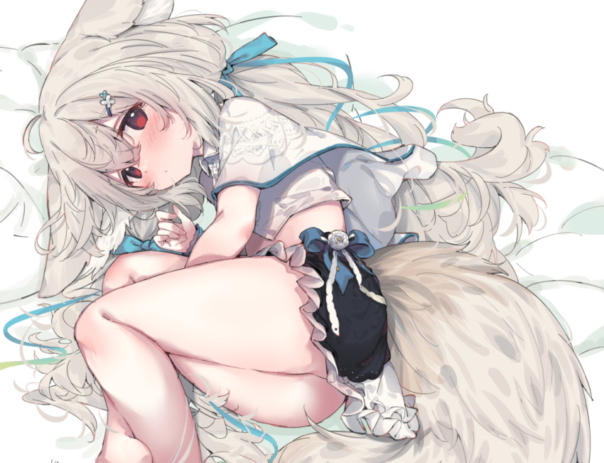 1girl ahoge animal_ear_fluff animal_ears arm_between_legs bare_legs black_skirt blue_bow blue_ribbon blush bow bow_skirt braid capelet closed_mouth collared_shirt commission crop_top crossed_ankles dot_mouth ears_down eip_(pepai) feet_out_of_frame fetal_position fox_ears fox_girl fox_tail frilled_skirt frills grey_hair hair_between_eyes hair_ornament hair_ribbon hairclip hand_up large_ears large_tail layered_capelet layered_skirt long_hair looking_at_viewer low_twintails lying midriff miniskirt on_back on_side original red_eyes ribbon sakurada_shiro_(hy_plus) sakurada_shiro_(summer)_(hy_plus) scrunchie shirt side_braid simple_background skeb_commission skirt solo tail twintails very_long_hair white_background white_capelet white_shirt wrist_scrunchie