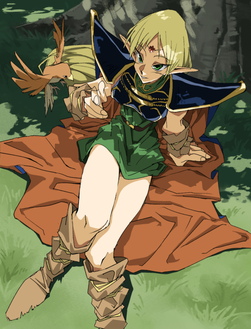 1girl armor bird blonde_hair boots breastplate cape circlet commentary_request deedlit dress elf grass green_dress green_eyes high_heel_boots high_heels highres long_hair long_pointy_ears looking_at_viewer pauldrons pointy_ears record_of_lodoss_war shino_(2919) shoulder_armor sitting smile solo tree