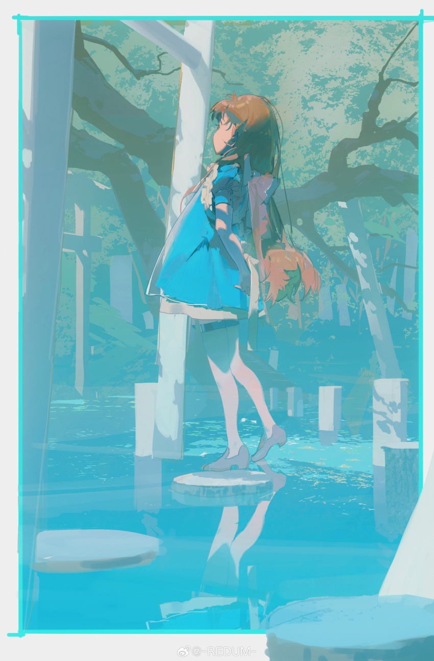 1girl absurdres artist_name blue_dress branch brown_hair chinese_commentary commentary_request dress from_behind from_side full_body highres long_hair original outdoors redum4 reflection reflective_water rock short_sleeves solo standing tail tree water weibo_watermark