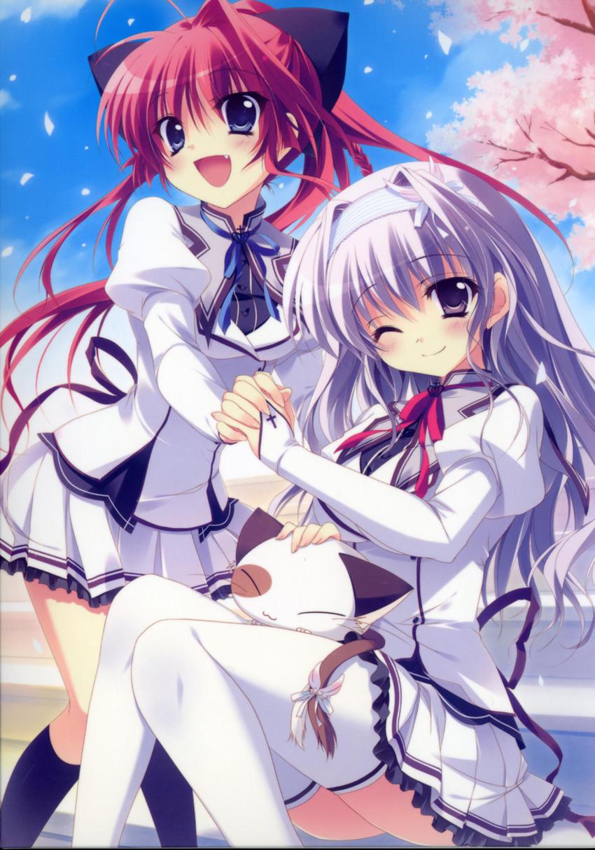 2girls :3 :d ;) amaha_miu blue_eyes cat cherry_blossoms closed_eyes fang highres holding_hands interlocked_fingers inui_sana izumi_tsubasu legs mashiroiro_symphony md5_mismatch multiple_girls one_eye_closed open_mouth pan-nya ponytail purple_eyes purple_hair red_hair school_uniform single_hair_intake smile thighhighs white_legwear wink