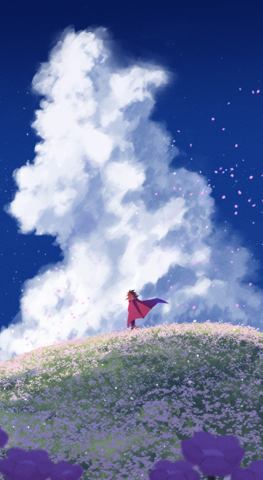 1boy absurdres blue_sky brown_hair cape cloud cloudy_sky day field flower flower_field from_behind grass highres hill honegai21 klug_(puyopuyo) male_focus messy_hair outdoors pants petals purple_cape purple_flower purple_pants puyopuyo short_hair sky solo standing strange_klug wide_shot