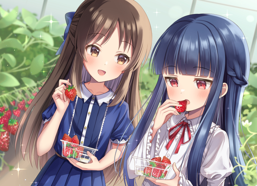 2girls absurdres basket belt blue_bow blue_hair blunt_bangs blush bow braid brown_eyes brown_hair buttons child collared_dress collared_shirt commentary dress eating food frilled_shirt frilled_shirt_collar frilled_sleeves frills fruit greenhouse hair_bow half_up_braid half_updo harvest hibiki_tohru highres holding holding_basket holding_food holding_fruit idolmaster idolmaster_cinderella_girls idolmaster_cinderella_girls_u149 indoors jitome long_hair multiple_girls neck_ribbon picking_fruit pleated_dress puffy_short_sleeves puffy_sleeves red_eyes red_ribbon ribbon sajo_yukimi shirt short_sleeves strawberry strawberry_plant tachibana_arisu very_long_hair white_shirt