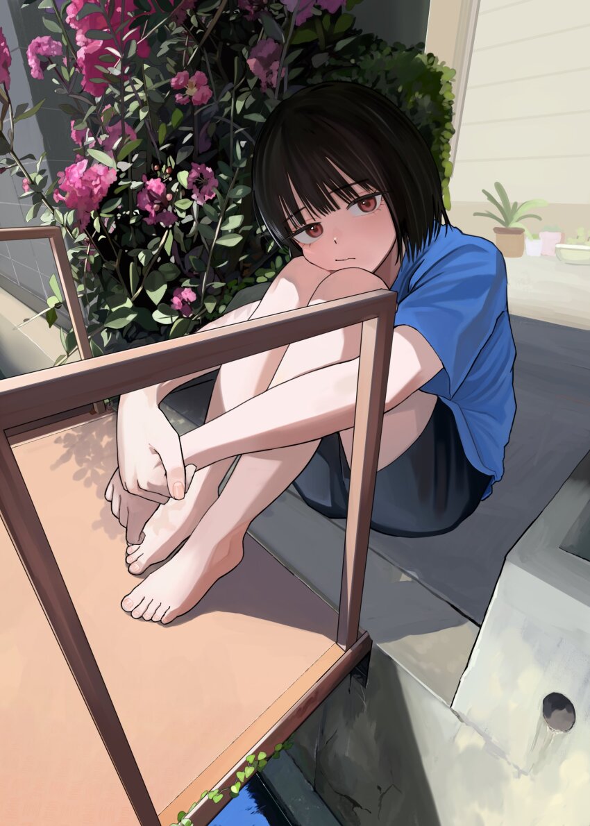 1girl :/ absurdres bare_arms bare_legs barefoot black_hair black_shorts blue_shirt blunt_bangs bob_cut bored bridge bush closed_mouth day dutch_angle expressionless feet flower from_above garage_door highres hugging_own_legs looking_at_viewer mmmo3 original outdoors plant potted_plant red_eyes shirt short_hair shorts solo stream sunlight t-shirt urban