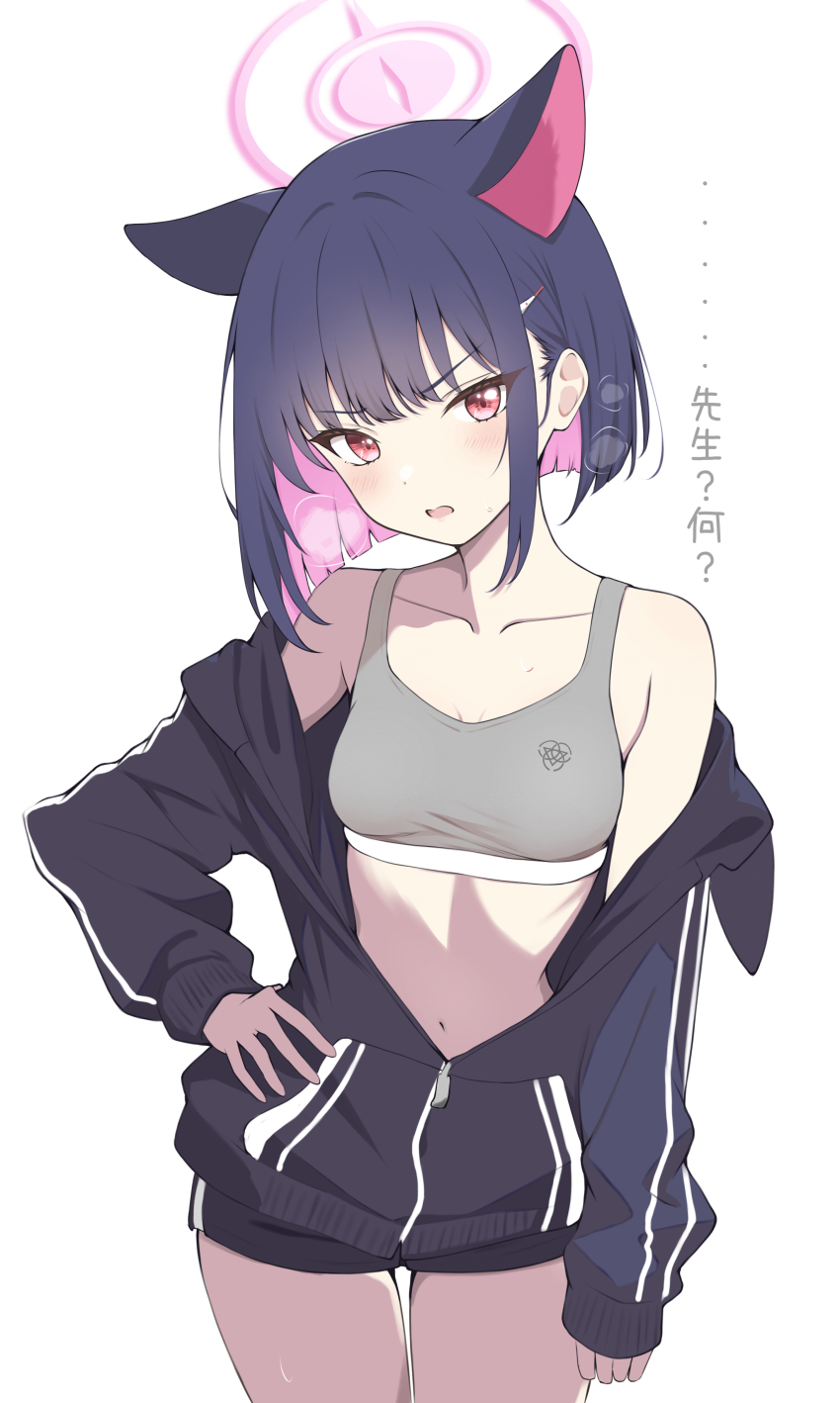 1girl absurdres animal_ears annoyed blue_archive blue_hair breasts cat_ears cat_girl collarbone colored_inner_animal_ears colored_inner_hair extra_ears grey_sports_bra hair_ornament hairclip halo hand_on_own_hip highres jacket kazusa_(blue_archive) kurumi_kororin legs_together long_sleeves looking_at_viewer medium_hair multicolored_hair navel open_clothes open_jacket pink_halo red_eyes shorts simple_background small_breasts solo sports_bra standing white_background zipper