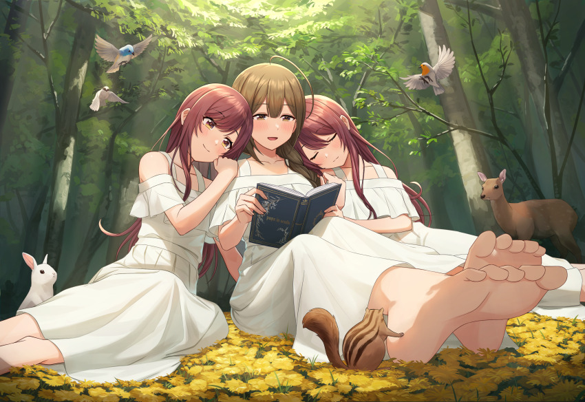 3girls alstroemeria_(idolmaster) barefoot bird brown_hair chipmunk commentary_request deer dress feet foot_focus forest highres idolmaster idolmaster_shiny_colors kurageso kuwayama_chiyuki leaning_on_person long_hair looking_at_object multiple_girls nature off-shoulder_shirt off_shoulder on_ground osaki_amana osaki_tenka outdoors rabbit reading shirt sitting sleeping soles squirrel straight_hair toes very_long_hair white_dress