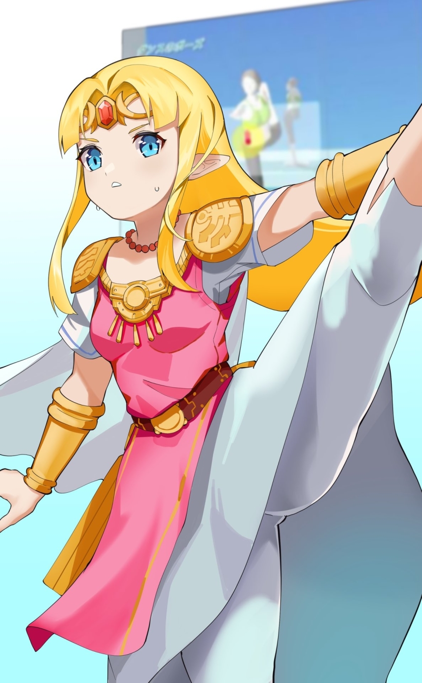 Princess Zelda Wii Fit Trainer Wii Fit Trainer Female Nintendo 