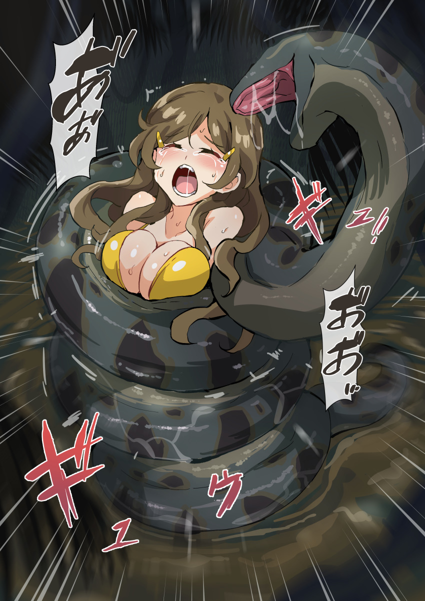 1girl absurdres anaconda arniro111 bikini blush breasts brown_hair cleavage closed_eyes crushing crying hair_ornament hairclip highres imminent_death jungle large_breasts long_hair nature open_mouth outdoors ryona saliva shinomiya_himawari snake sweat swimsuit tears vividred_operation vore yellow_bikini you_gonna_get_eaten