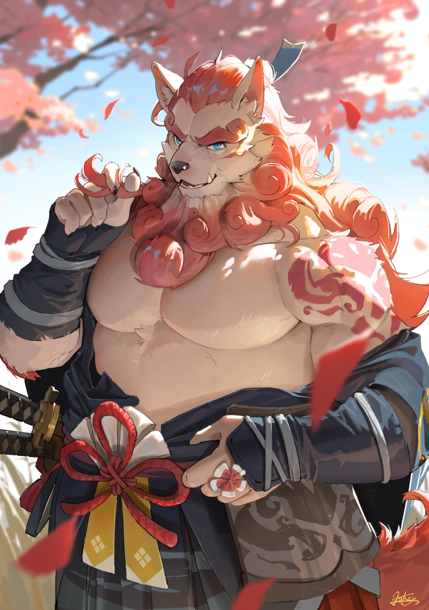 1boy absurdres animal_ear_fluff armor bara bare_pectorals blue_eyes body_markings cherry_blossoms chest_fur commentary dog_nose fang fingerless_gloves furry furry_male gloves highres holding holding_own_hair i_lokey japanese_armor japanese_clothes katana komainu_boy komainu_ears komainu_tail looking_at_viewer male_focus mane muscular muscular_male open_mouth orange_fur orange_hair partially_undressed pectoral_cleavage pectorals sdorica sheath sheathed signature smile sword toyokuni_(sdorica) weapon