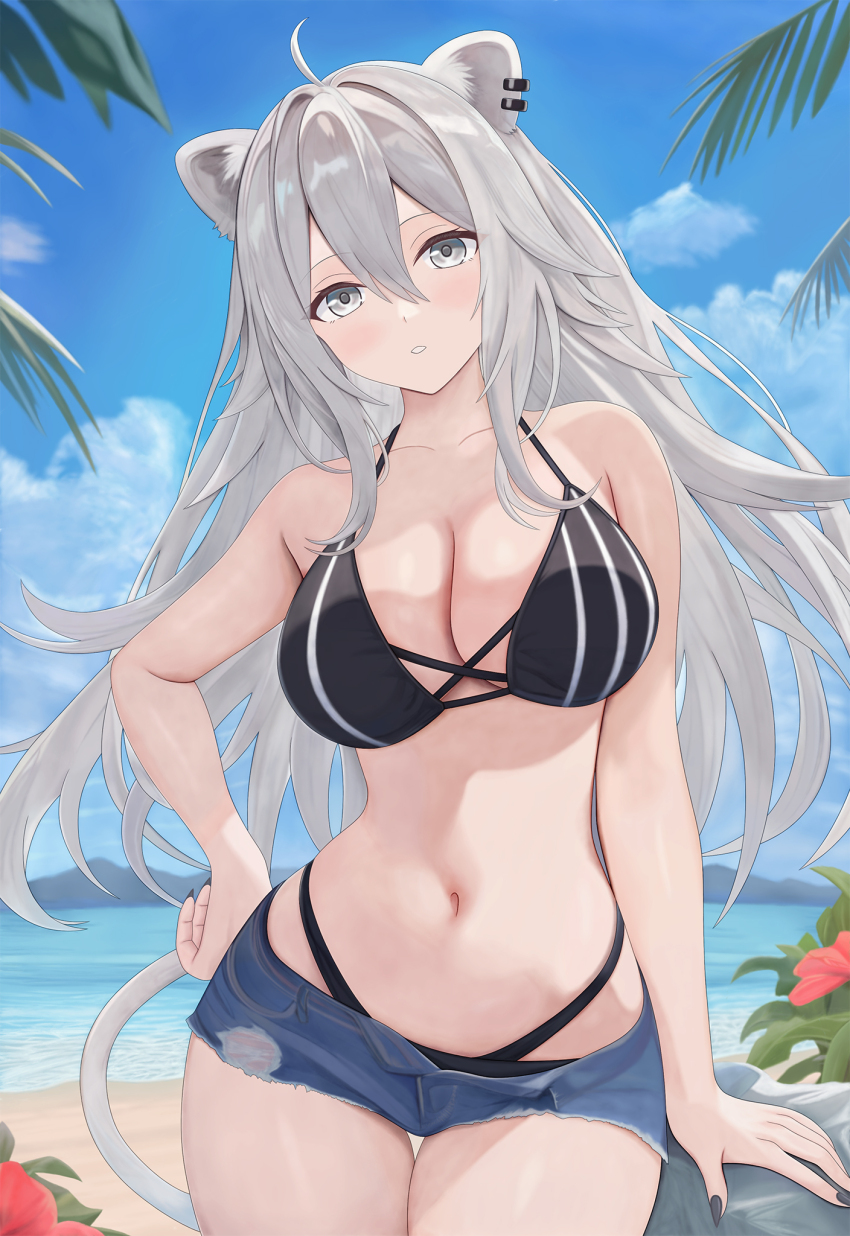 1girl ahoge alternate_costume animal_ear_piercing animal_ears arabiki50 beach bikini bikini_under_shorts black_bikini black_nails blue_shorts blue_sky breasts cleavage cloud commentary_request contrapposto cross-laced_bikini cross-laced_clothes day denim denim_shorts double-parted_bangs grey_eyes grey_hair hair_between_eyes halterneck hand_on_own_hip head_tilt highleg highleg_bikini highres hololive large_breasts light_blush lion_ears lion_tail long_hair looking_at_viewer messy_hair multi-strapped_bikini_bottom nail_polish navel open_fly outdoors palm_leaf parted_lips shishiro_botan short_shorts shorts sidelocks sky solo stomach swimsuit tail thigh_gap torn_clothes torn_shorts virtual_youtuber