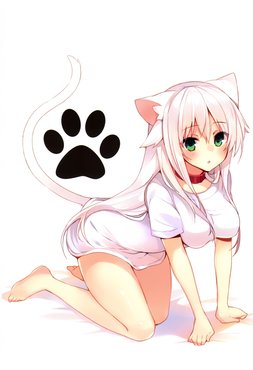 1girl absurdres anceril_sacred animal_ears bare_legs barefoot cat_ears cat_tail collar female_focus full_body green_eyes hair_flaps highres long_hair looking_at_viewer mishima_kurone open_mouth original shirt simple_background solo t-shirt tail white_background white_hair