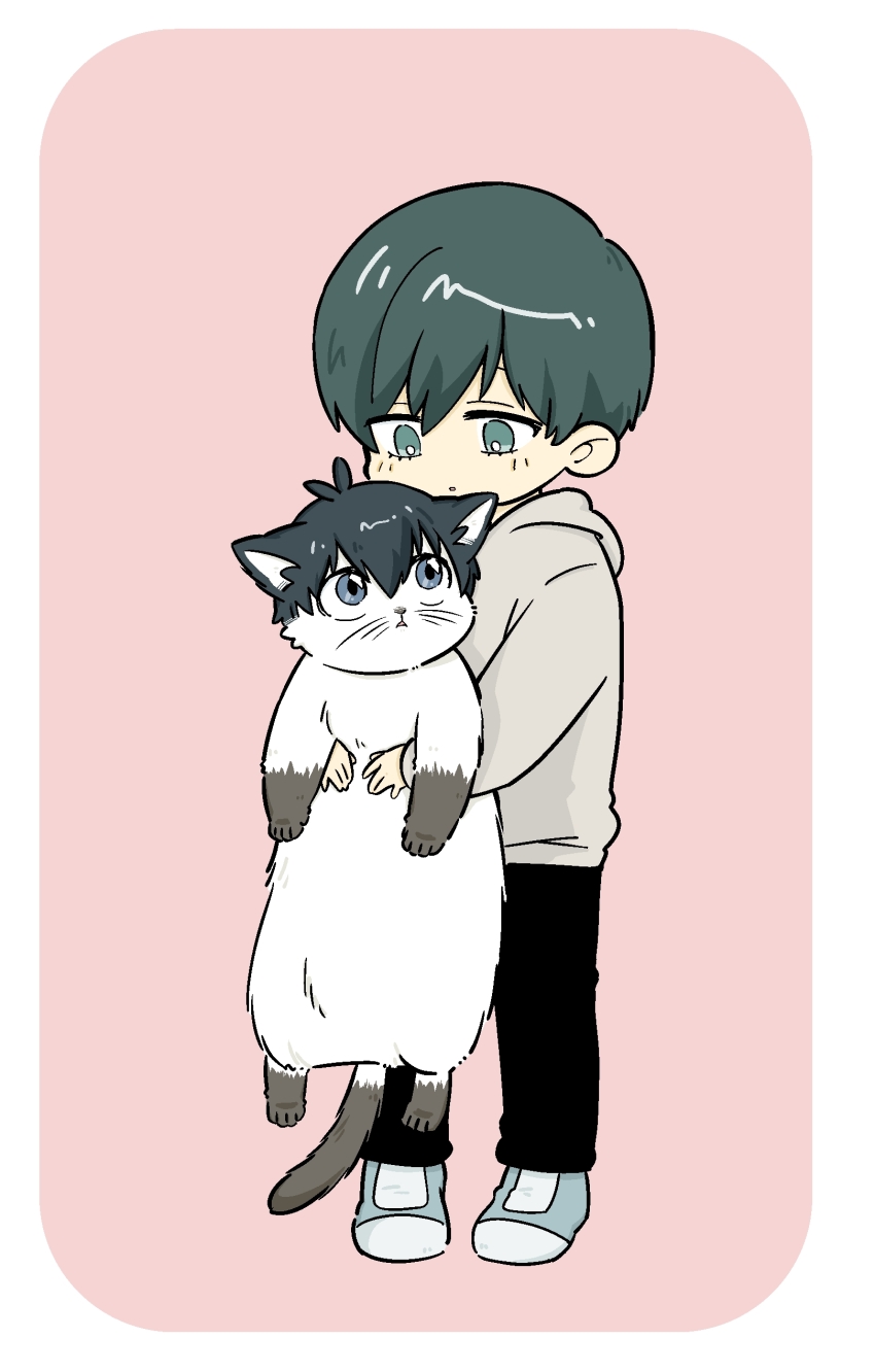 1boy absurdres animal animification black_hair black_pants blue_eyes blue_lock border cat full_body green_eyes green_hair grey_hoodie highres holding holding_animal holding_cat hood hood_down hoodie isagi_yoichi itoshi_rin long_sleeves looking_at_animal male_focus pants pink_background round_border sekihan_(sbii41) short_hair simple_background standing white_border white_cat