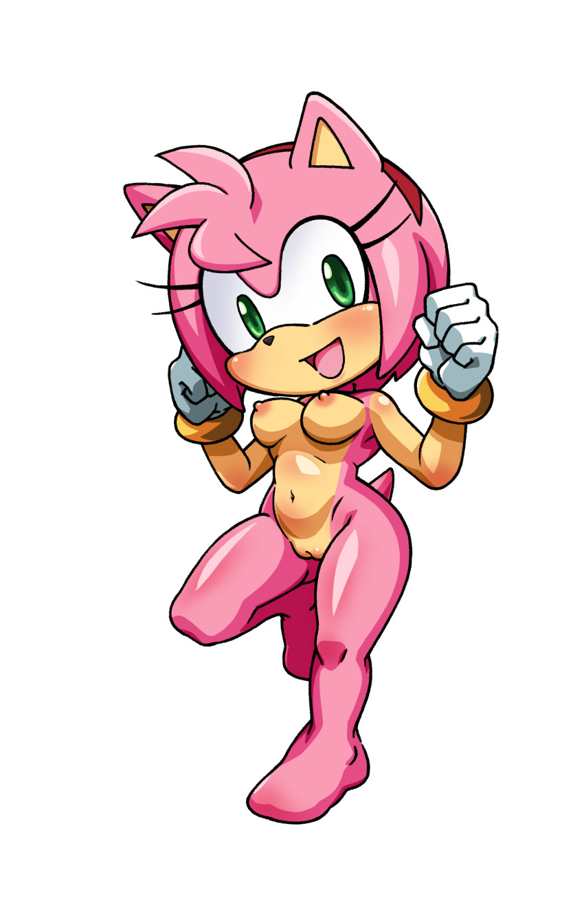 1girl absurdres aku_tojyo amy_rose cleft_of_venus cutout furry furry_female hedgehog highres no_toes nude solo_focus sonic_(series) source_request tagme transparent_background uncensored