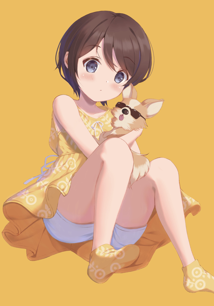 1girl animal black_eyes blush brown_hair chihuahua chikuwa_(yurucamp) commentary dog dress file112056 highres holding holding_animal holding_dog looking_at_viewer patterned_clothing saitou_ena short_hair short_shorts shorts shorts_under_dress simple_background sleeveless socks sundress sunglasses tongue tongue_out aged_down yurucamp