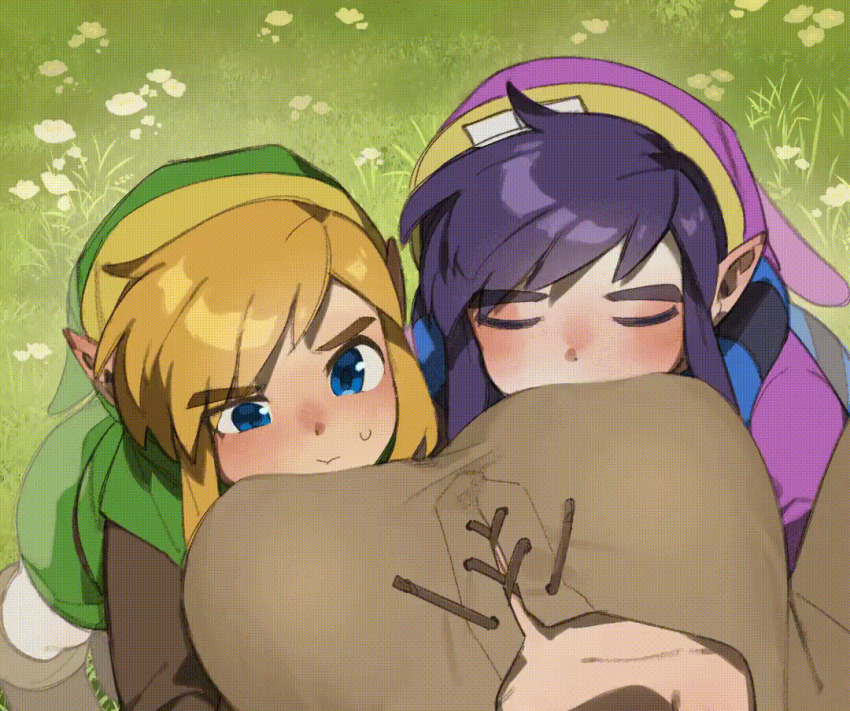 1girl 2boys animated animated_gif blonde_hair blue_eyes blush breasts female_pov grass green_eyes hat large_breasts link male_focus multiple_boys nintendo pointy_ears pov purple_hair ravio tango_dream the_legend_of_zelda