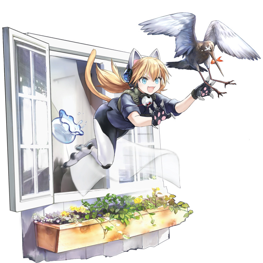 1girl :d animal_ears autodefenestration bird blonde_hair blouse blue_eyes blue_shirt bottomless cat_ears cat_tail collar curtains fang fish fishbowl full_body game_cg girls&#039;_frontline girls&#039;_frontline_neural_cloud highres idw_(girls&#039;_frontline) mechanical_hands mechanical_legs motion_blur mouth_hold official_art open_mouth open_window plant pouncing shirt sleeves_rolled_up smile solo symbol-shaped_pupils tail transparent_background twintails window windowsill